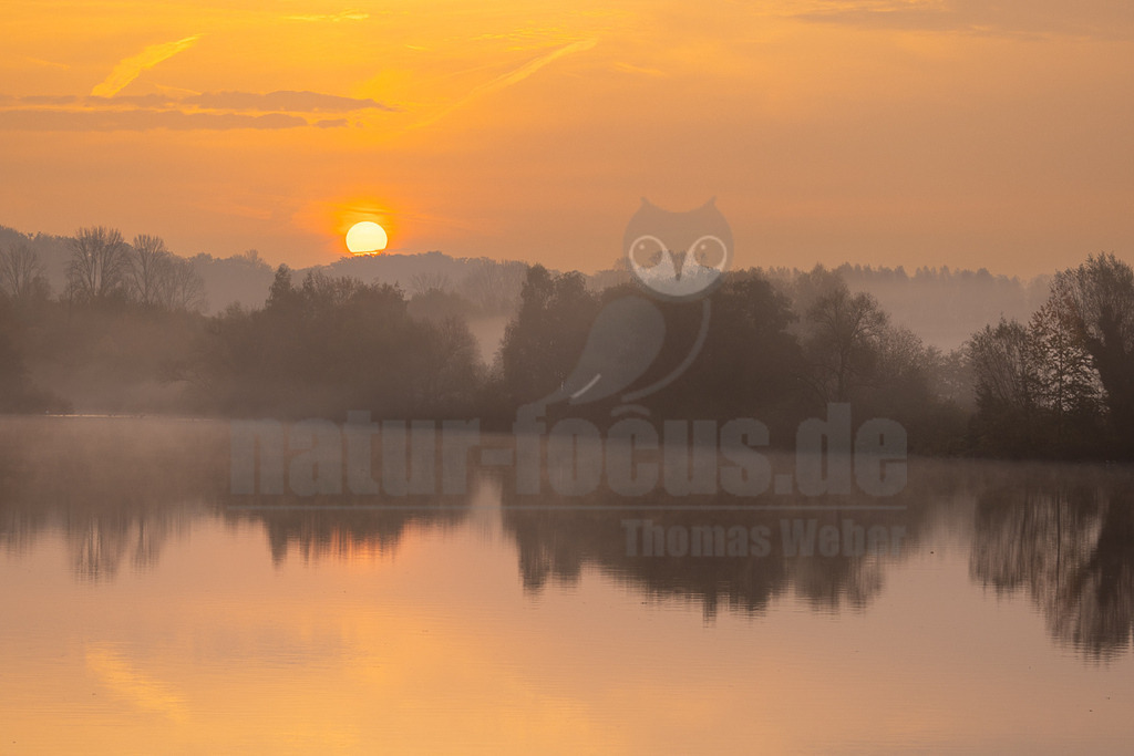 20221031073953 | Der Bildershop von www.natur-focus.de bietet ihnen den einfachen Kauf von Bildmaterial per Download aus allen Bereichen der Natur. In den Galerien finden sie Landschaftsfotos, Tierbilder und natürlich auf Pflanzenfotos. - Realisiert mit Pictrs.com