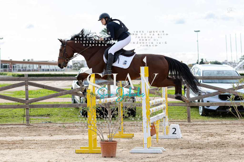 IMG_2731 | s-jay-photography - Realisiert mit Pictrs.com