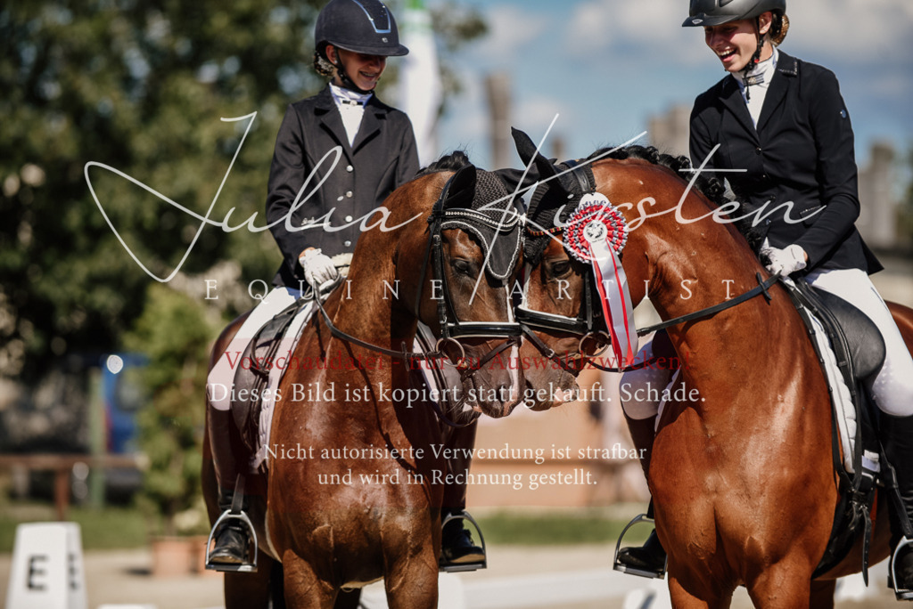 DSC_9797 | Pferde- und Turnierfotografie in Westsachsen. Pferdeportraits, Auftragszeichnungen und intuitive Kunst.