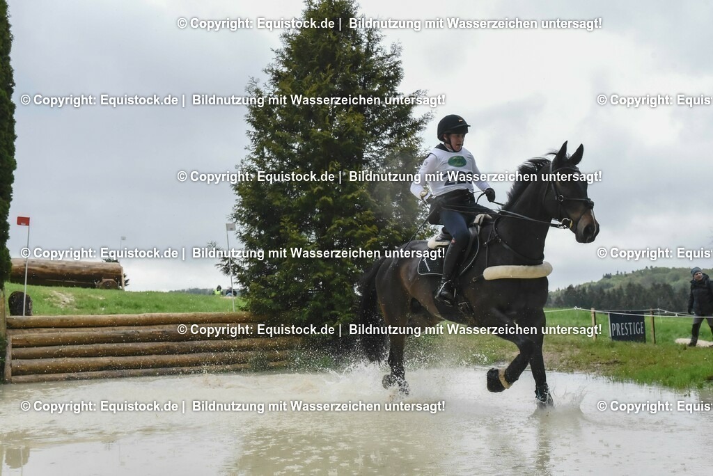 20230513_CCI2_Section2_Gelände_0434 | equistock