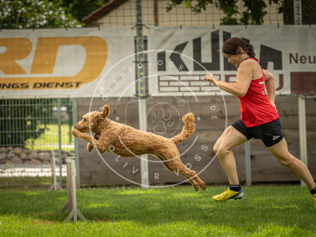 Pfotenfotografie_DV3A3695 | Hundefotografie, Tierfotograf, Pfotenfotografie, Fotoshooting Hund, Hunde Portrait, Hundesport, Hundeportraits, Heideshooting, Hunde, Sportfotograf, Hundefotograf, Turnierhundsport, THS,  - Realisiert mit Pictrs.com