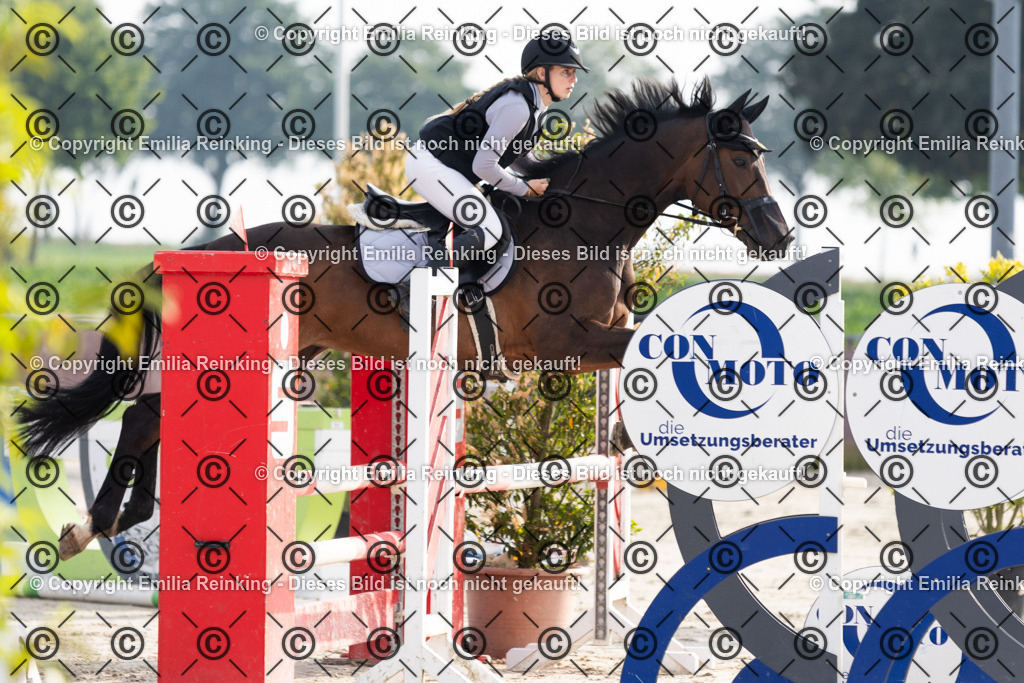 CL5A1628 | Emilia Reinking Fotografie - Realisiert mit Pictrs.com