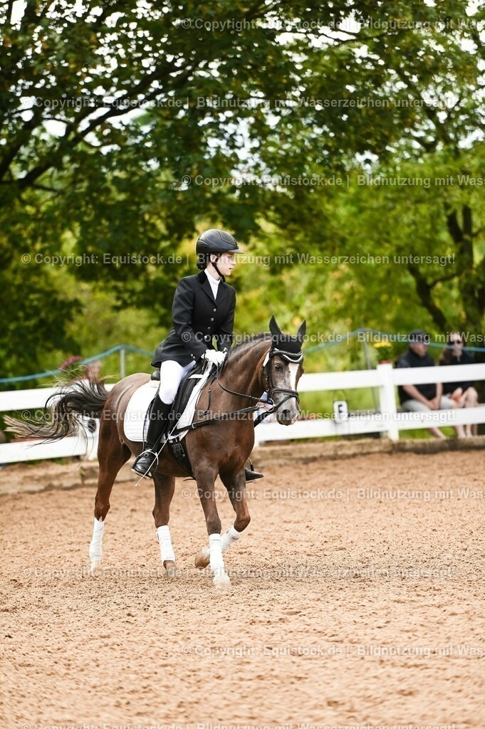 20230716_10-2_Reiter-WB Schritt - Trab - Galopp_0080 | equistock