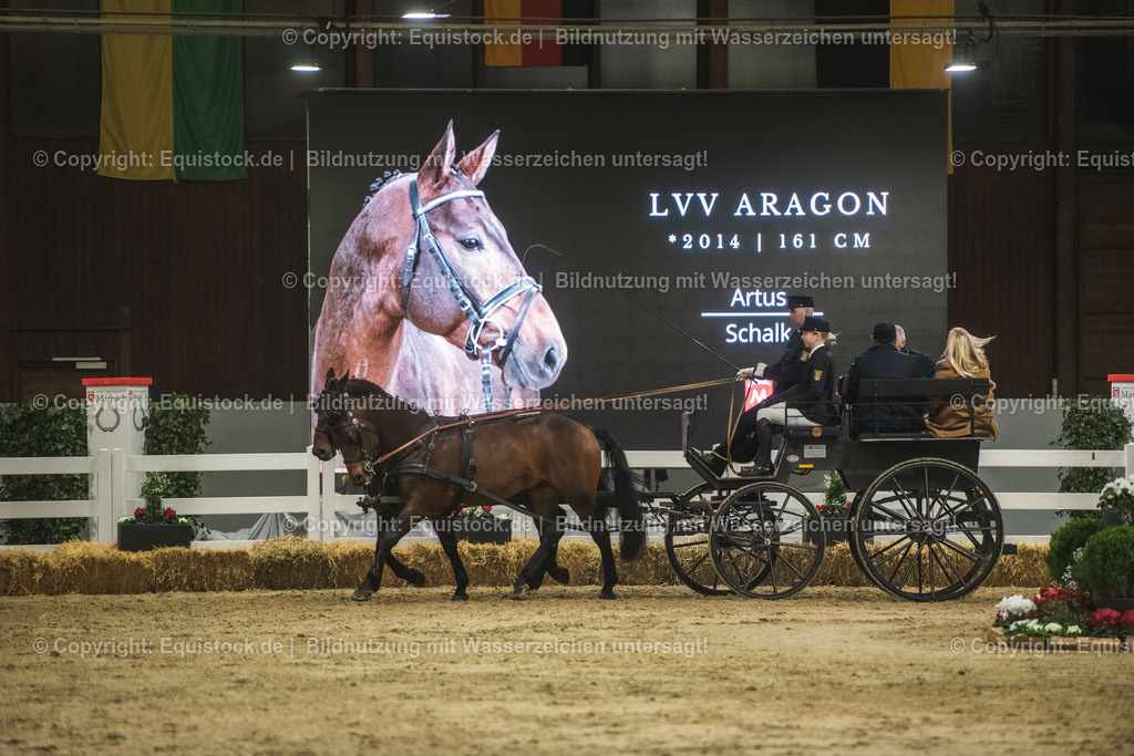 20240302_Hengstvorstellung_Marbach_TOMsPiC_0732 | equistock
