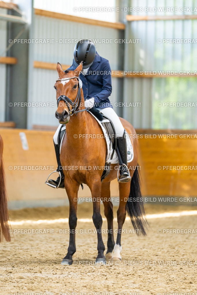 DSC08802 | Pferdegrafie