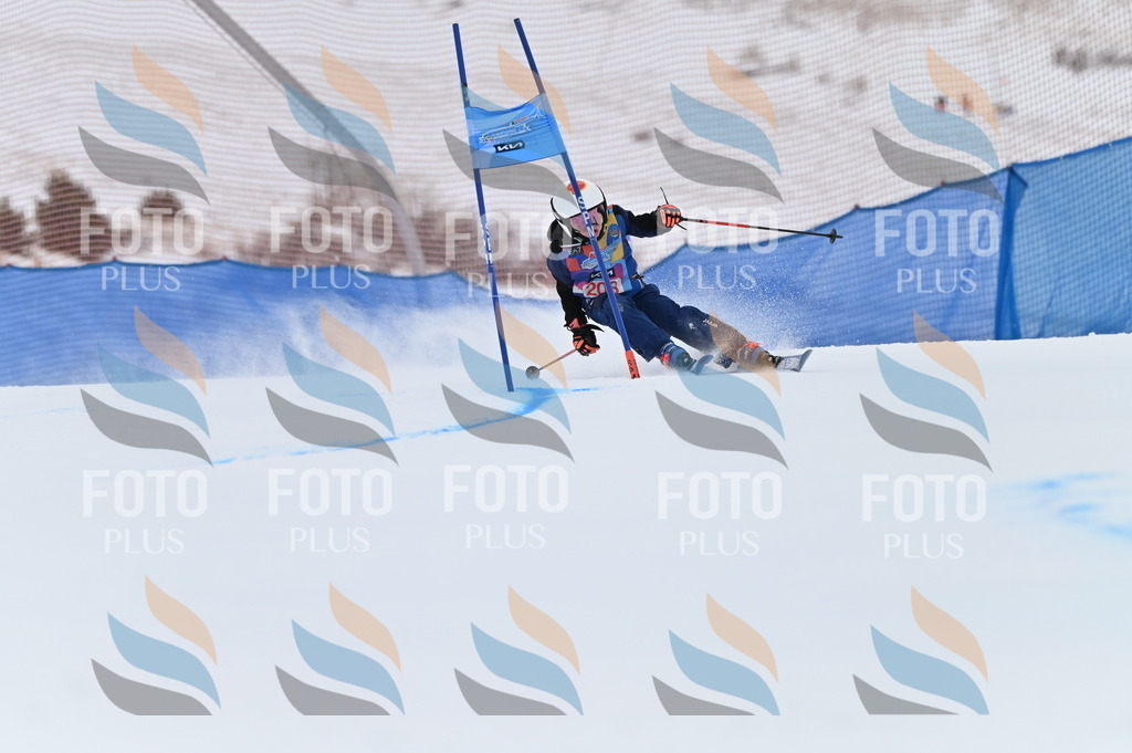 BGV_2269 | holidayphoto