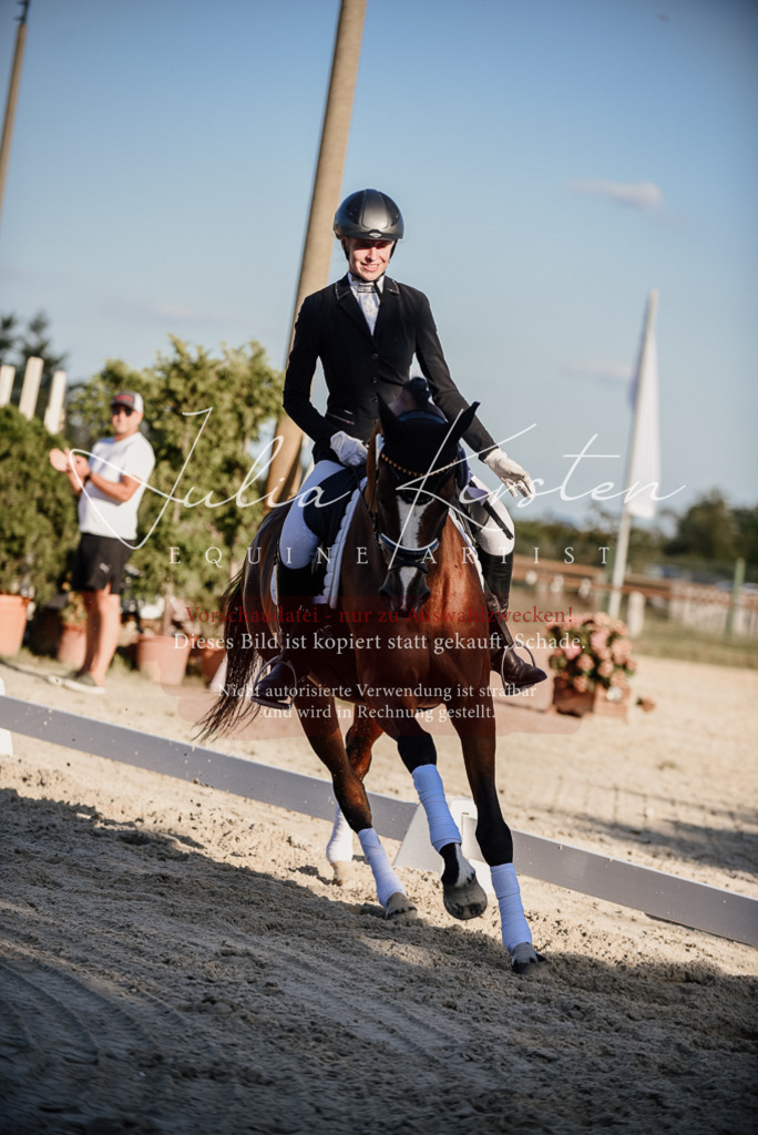 DSC_0745 | Pferde- und Turnierfotografie in Westsachsen. Pferdeportraits, Auftragszeichnungen und intuitive Kunst.
