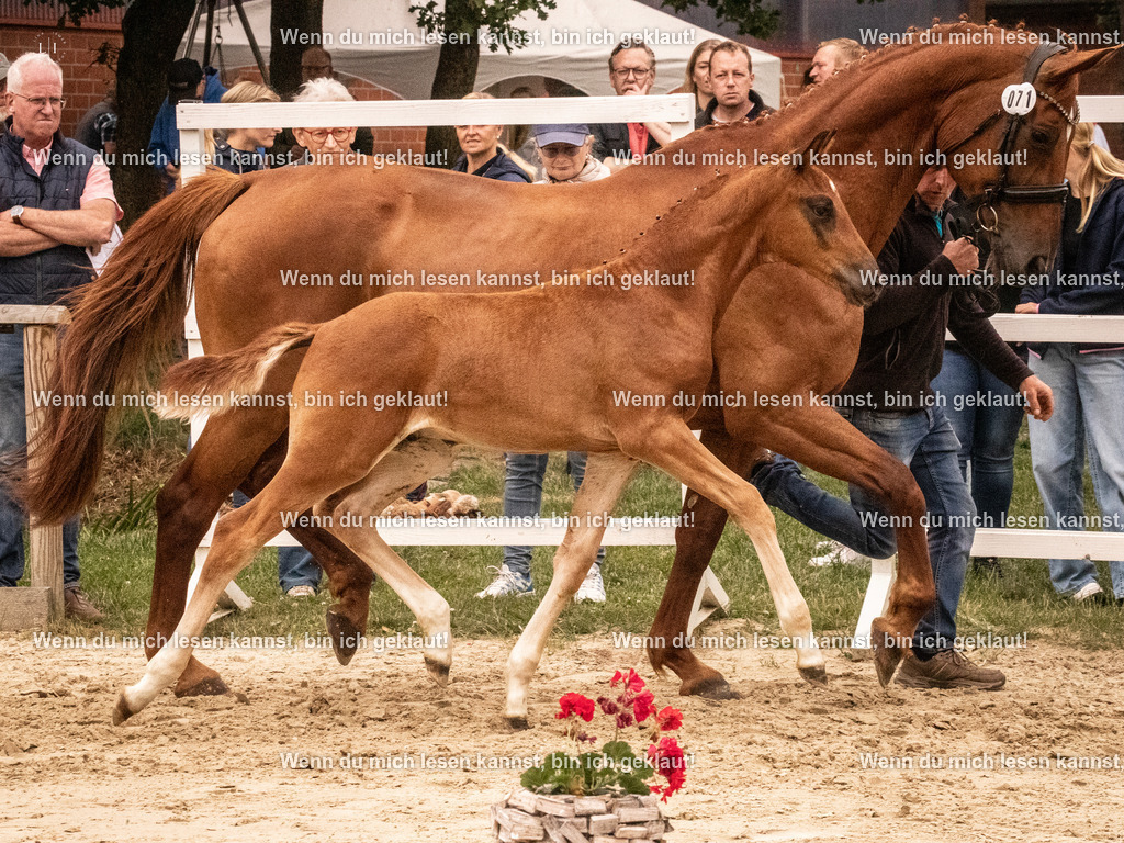 A10I1331 | photographylinaismer - Realisiert mit Pictrs.com