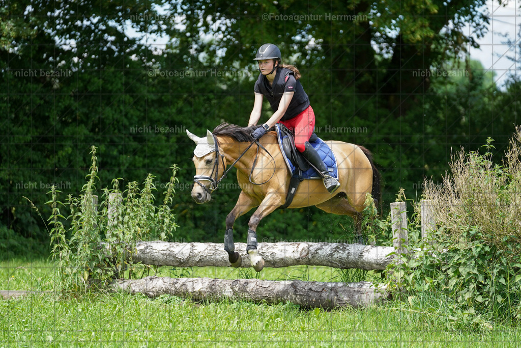 20240622-FAH07464 | Turnierfotografen Bayern, Reitsportbilder aus dem Geländekurs mit Felix Etzel auf dem Gut Waitzacker 2024