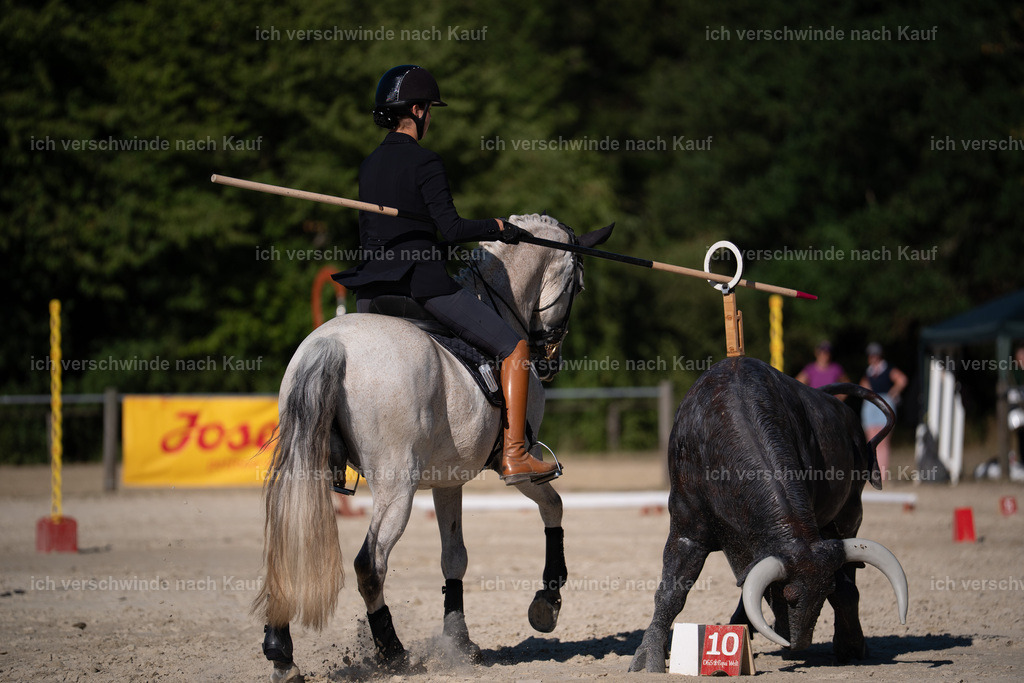 WS_ST_68_stoibphotography_SO12013 | working equitationturnier fotograf videograf stoibphotography marixx film working equitation deutschland reitsport turnierfotografie eventfotografie equestrian events