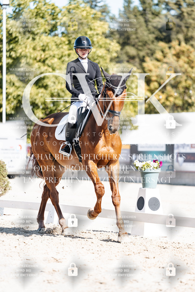 CK908752 | Turnierfotografie Pferdefotografie Trier Rheinland-Pfalz Pferdesport Reitsport Tierfotografie Sportfotografie Pferdevideo Pferdevideografie Equestrianvideography equestrianphotography  - Realisiert mit Pictrs.com
