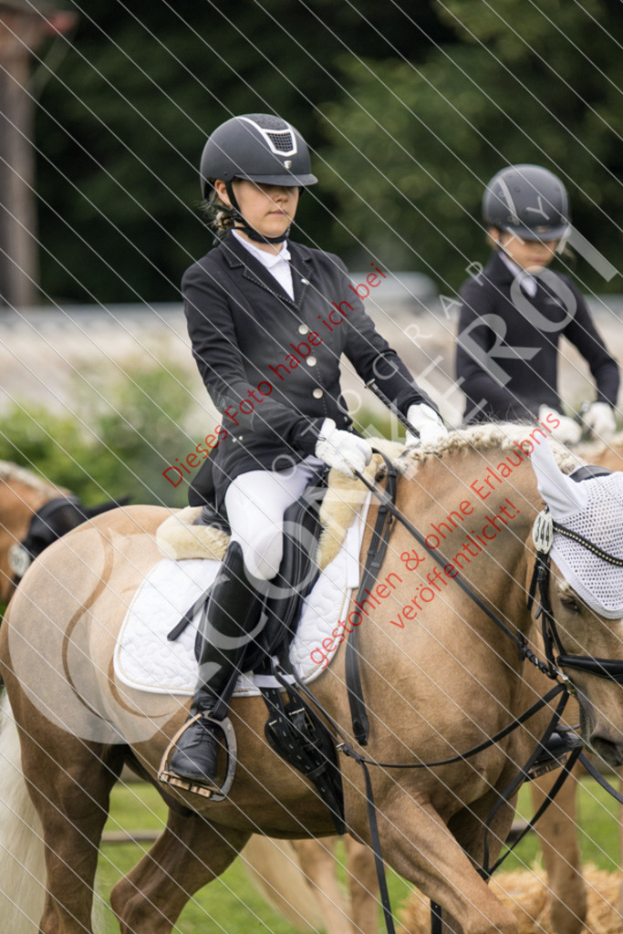 IMG_1726 | Sport-, Event- und Tierfotos in Profiqualität. Einfach auswählen, bestellen und herunterladen. Dein Moment – perfekt festgehalten.