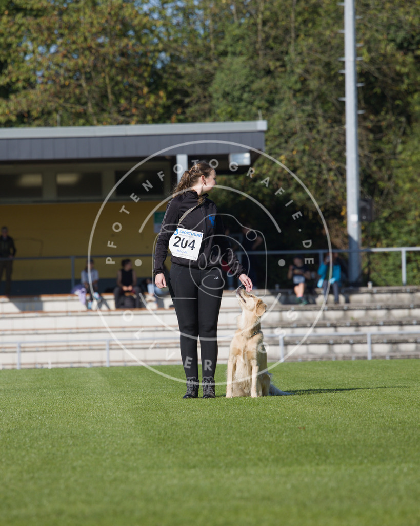 0L8A2346 | Hundefotografie, Tierfotograf, Pfotenfotografie, Fotoshooting Hund, Hunde Portrait, Hundesport, Hundeportraits, Heideshooting, Hunde, Sportfotograf, Hundefotograf, Turnierhundsport, THS,  - Realisiert mit Pictrs.com