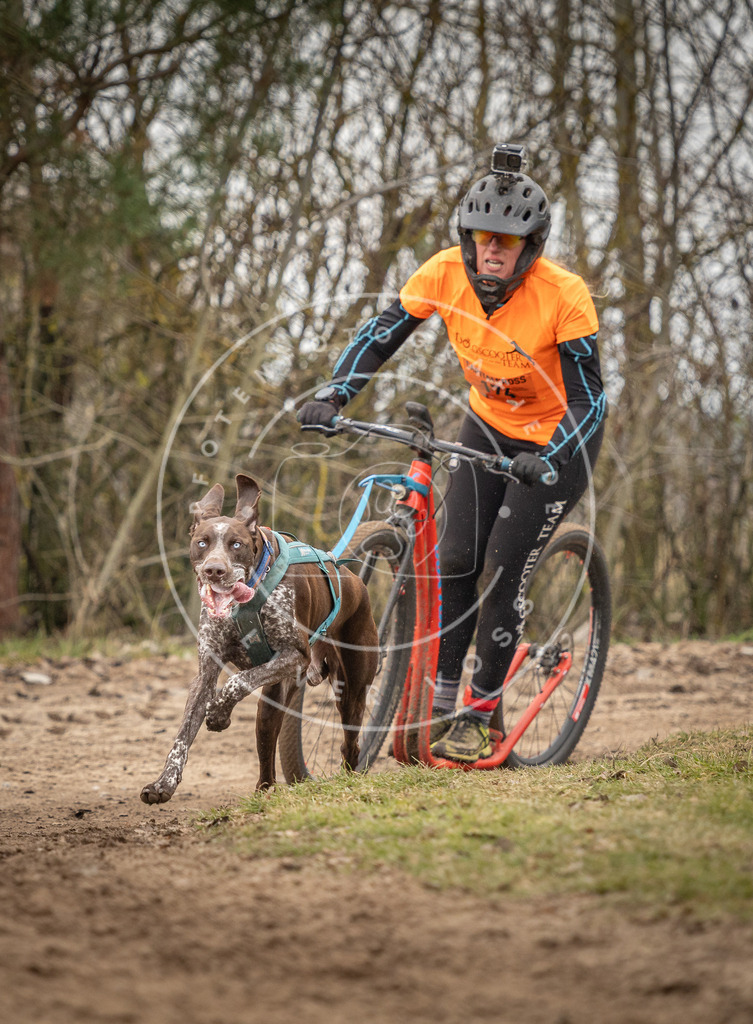 Pfotenfotografie_DV3A9787 | Hundefotografie, Tierfotograf, Pfotenfotografie, Fotoshooting Hund, Hunde Portrait, Hundesport, Hundeportraits, Heideshooting, Hunde, Sportfotograf, Hundefotograf, Turnierhundsport, THS,  - Realisiert mit Pictrs.com
