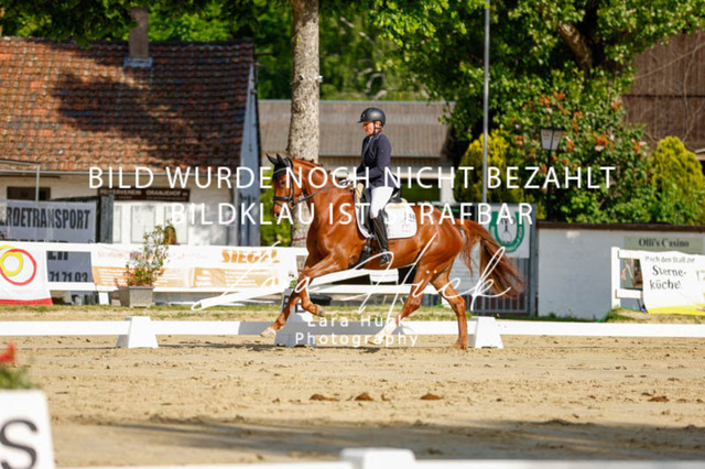 _62_2345 | larahueckfotografie