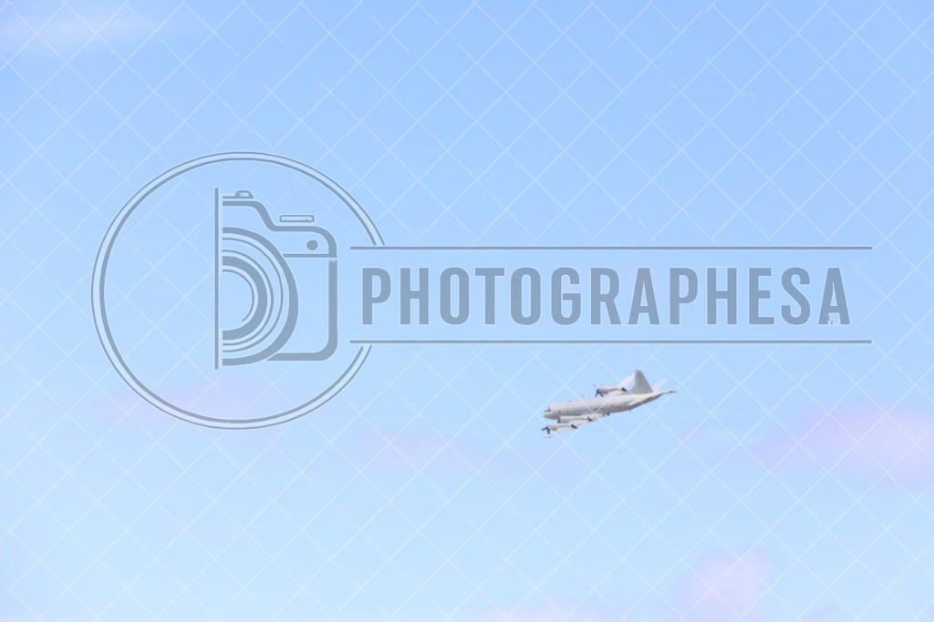 IMG_8819 | photographesa-joergens - Realisiert mit Pictrs.com