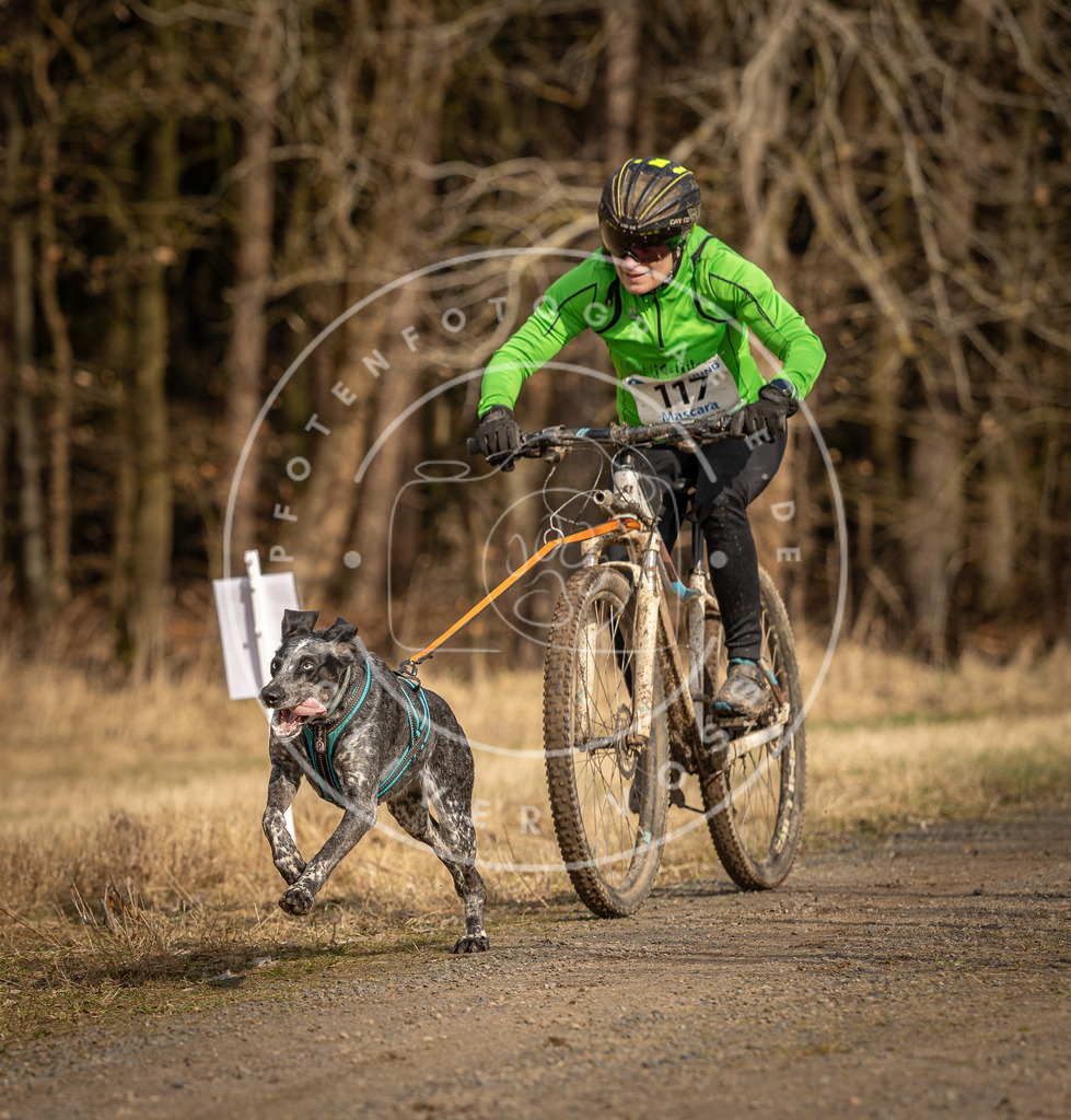 DV3A4420 | Hundefotografie, Tierfotograf, Pfotenfotografie, Fotoshooting Hund, Hunde Portrait, Hundesport, Hundeportraits, Heideshooting, Hunde, Sportfotograf, Hundefotograf, Turnierhundsport, THS,  - Realisiert mit Pictrs.com