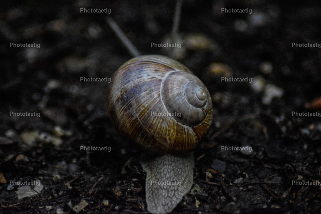 IMG_3300 | phototaetig