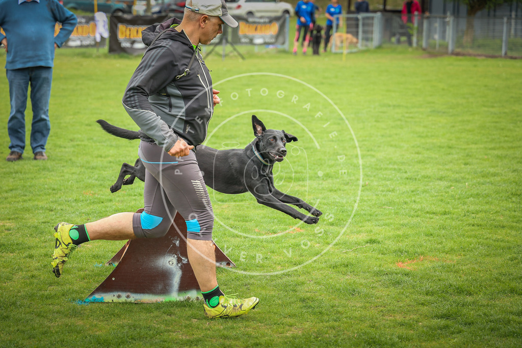 Pfotenfotografie_0L8A9553 | Hundefotografie, Tierfotograf, Pfotenfotografie, Fotoshooting Hund, Hunde Portrait, Hundesport, Hundeportraits, Heideshooting, Hunde, Sportfotograf, Hundefotograf, Turnierhundsport, THS,  - Realisiert mit Pictrs.com