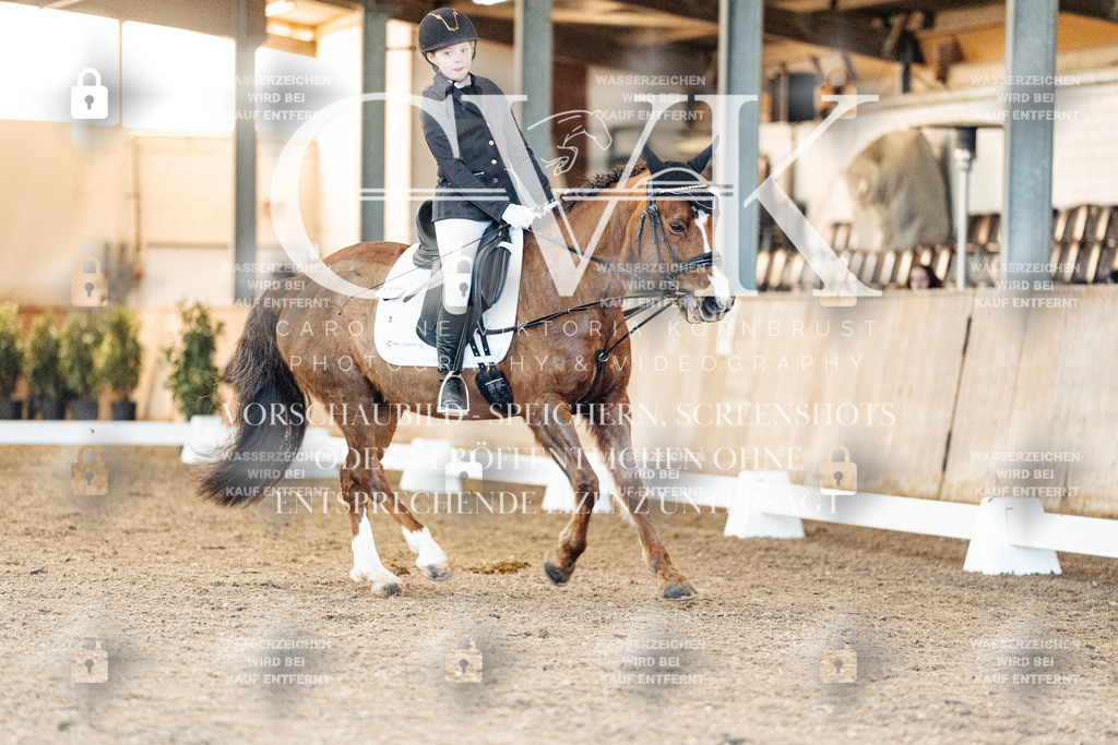 CK907077 | Turnierfotografie Pferdefotografie Trier Rheinland-Pfalz Pferdesport Reitsport Tierfotografie Sportfotografie Pferdevideo Pferdevideografie Equestrianvideography equestrianphotography  - Realisiert mit Pictrs.com