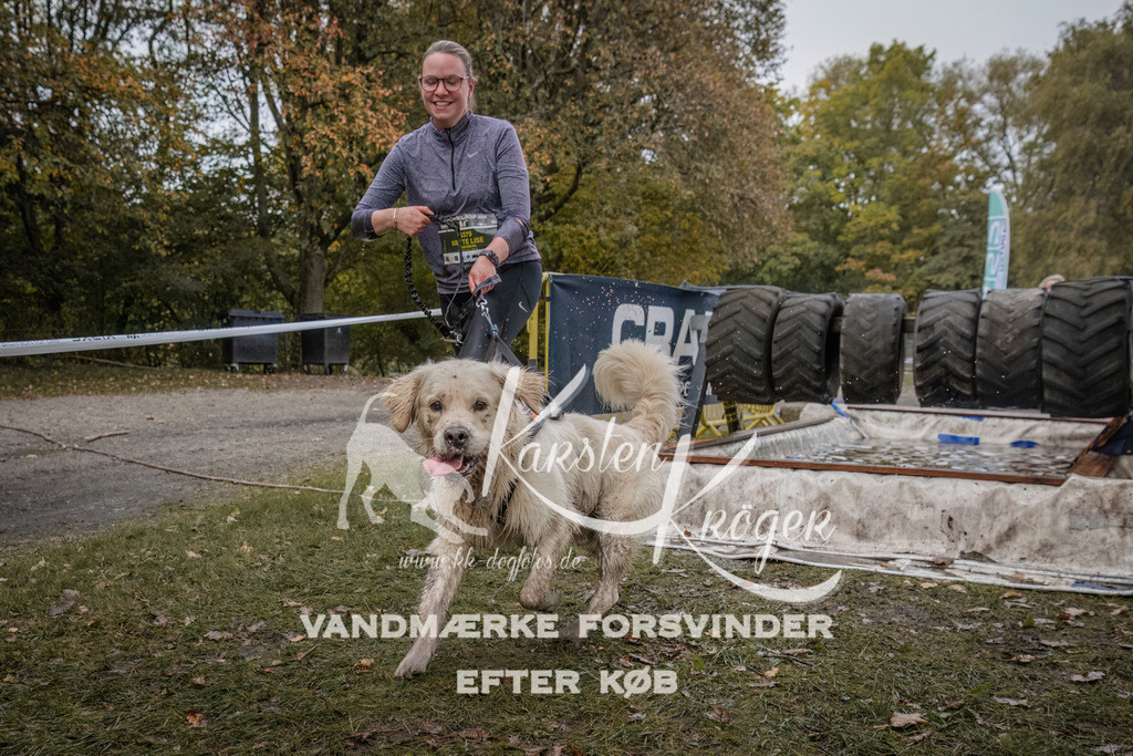 1629_ZZ93676 | kk-dogfotos