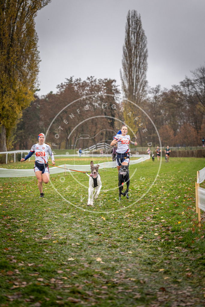 CaniXpix_DV3A9098 | Hundefotografie, Tierfotograf, Pfotenfotografie, Fotoshooting Hund, Hunde Portrait, Hundesport, Hundeportraits, Heideshooting, Hunde, Sportfotograf, Hundefotograf, Turnierhundsport, THS,  - Realisiert mit Pictrs.com