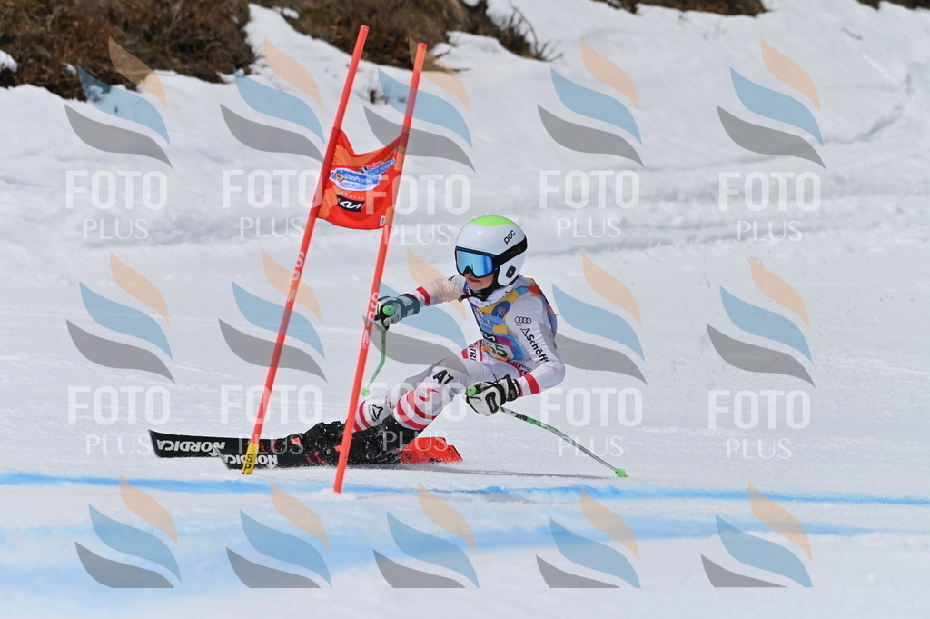 BGV_5060 | holidayphoto