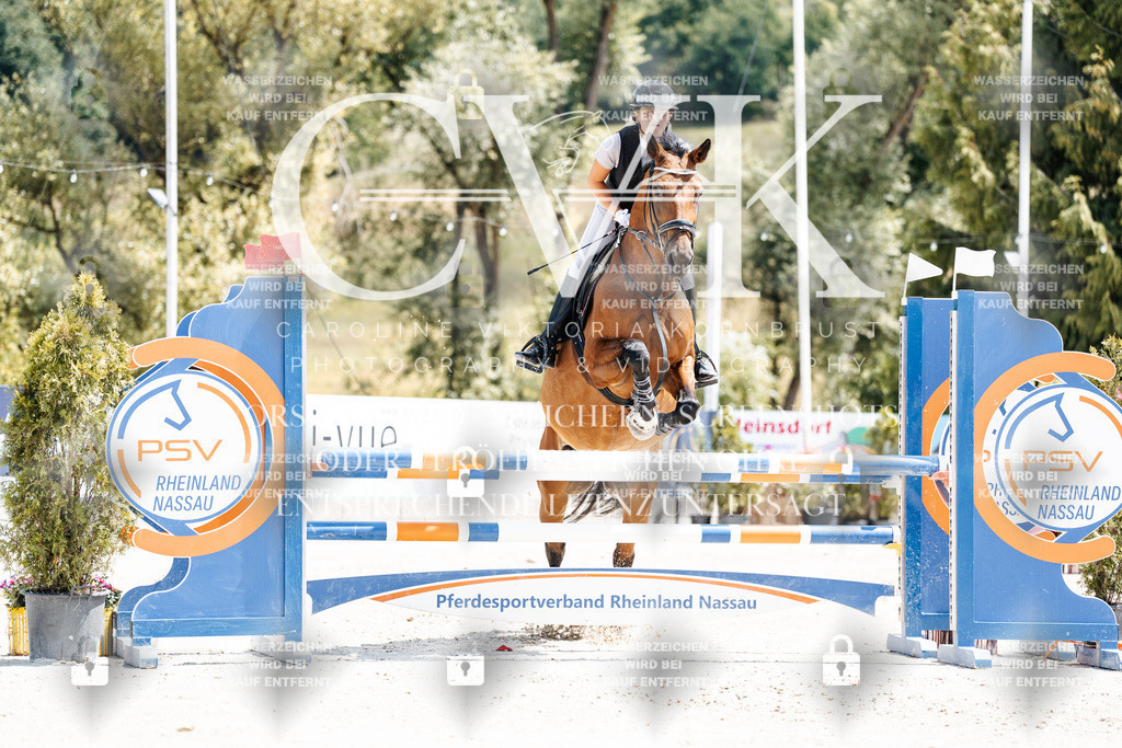 CK907586 | Turnierfotografie Pferdefotografie Trier Rheinland-Pfalz Pferdesport Reitsport Tierfotografie Sportfotografie Pferdevideo Pferdevideografie Equestrianvideography equestrianphotography  - Realisiert mit Pictrs.com