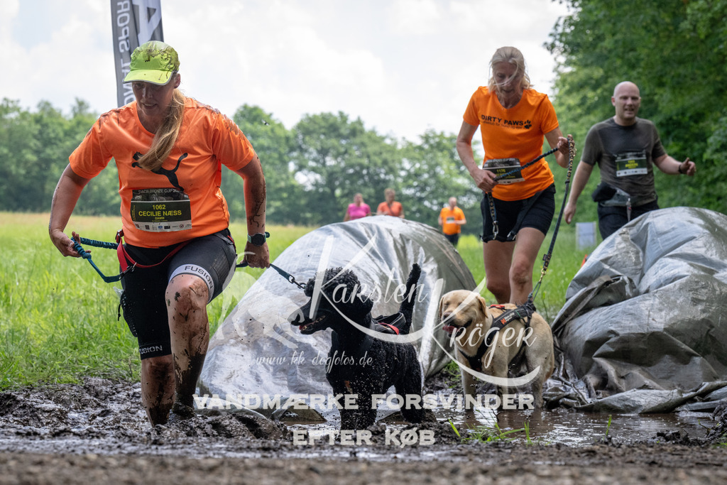 1142_ZZ94032 | kk-dogfotos