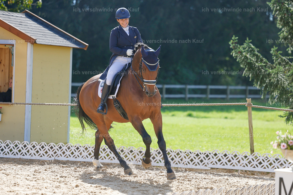09_2-169-DRESSUR  S_  -StoibPH-5747 | working equitationturnier fotograf videograf stoibphotography marixx film working equitation deutschland reitsport turnierfotografie eventfotografie equestrian events