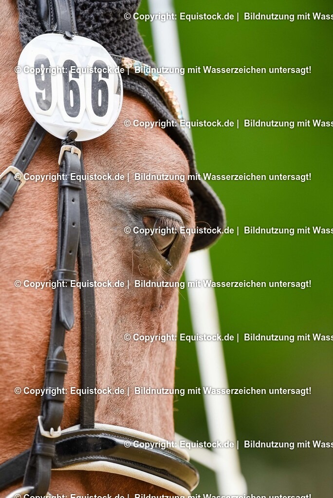 20250608_CVI-Masterclass_0560 | Foto: Thomas Hartig