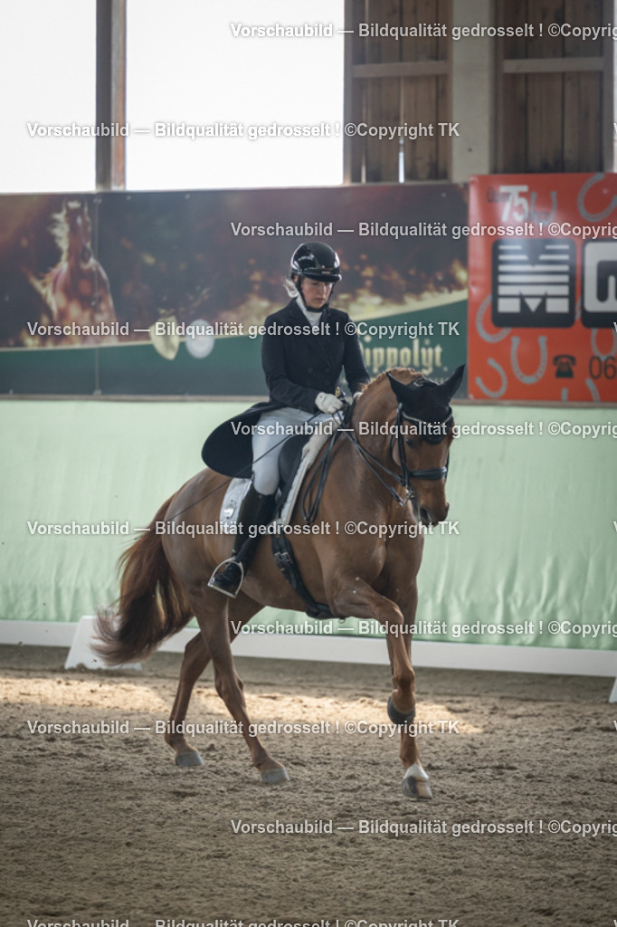 _D5A4592 | Emotionale Pferde- & People-Fotografie rund um Heidelberg, Leimen & Umgebung. Natürliche Fotos von Pferd, Mensch & Familie. Jetzt Termin sichern!