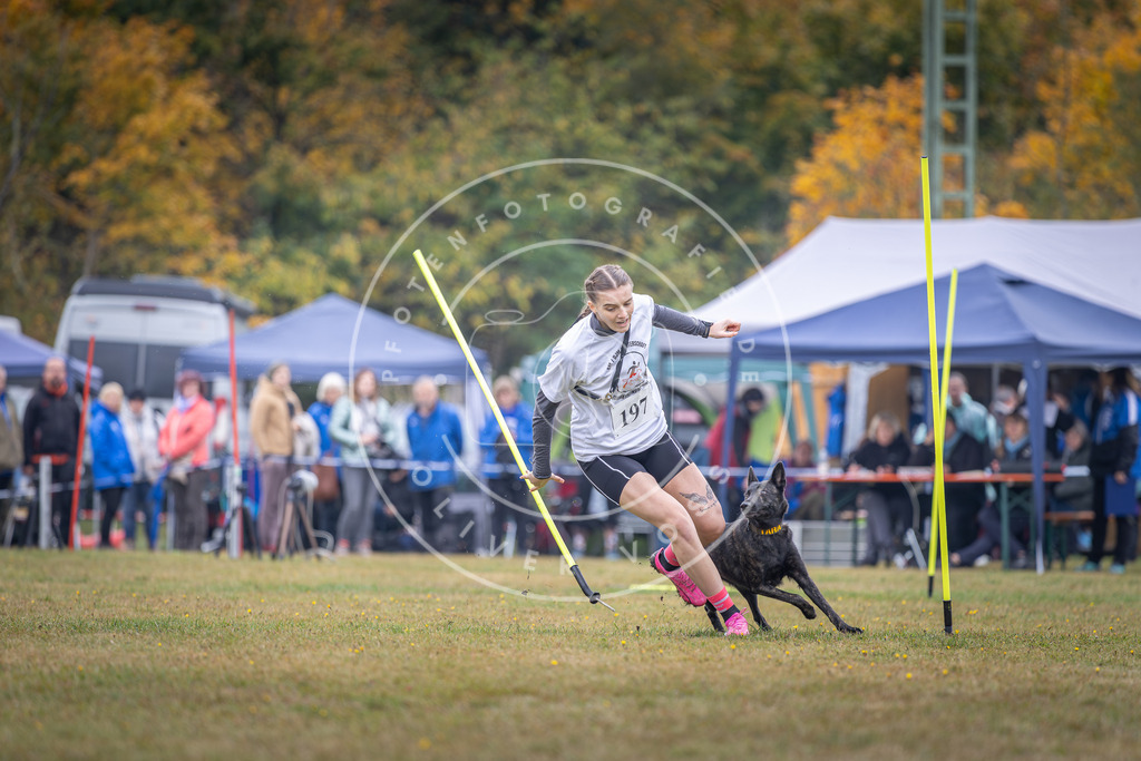 Pfotenfotografie_DV3A1086 | Hundefotografie, Tierfotograf, Pfotenfotografie, Fotoshooting Hund, Hunde Portrait, Hundesport, Hundeportraits, Heideshooting, Hunde, Sportfotograf, Hundefotograf, Turnierhundsport, THS,  - Realisiert mit Pictrs.com