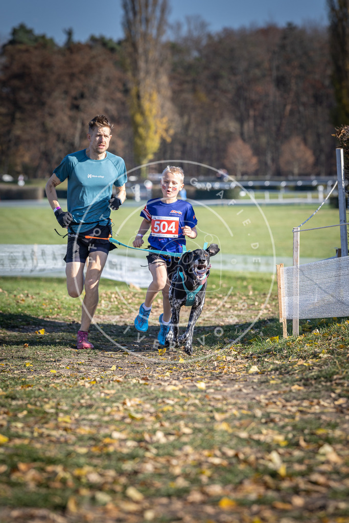 CaniXpix_DV3A7839 | Hundefotografie, Tierfotograf, Pfotenfotografie, Fotoshooting Hund, Hunde Portrait, Hundesport, Hundeportraits, Heideshooting, Hunde, Sportfotograf, Hundefotograf, Turnierhundsport, THS,  - Realisiert mit Pictrs.com