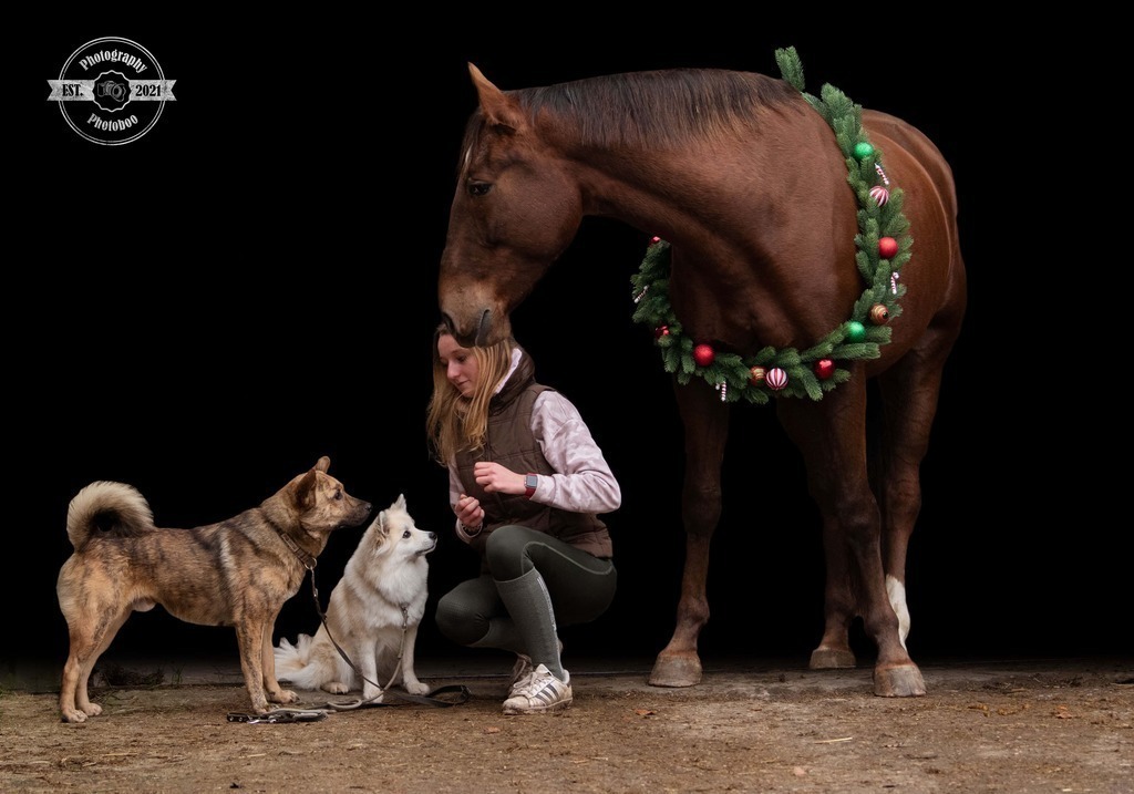 Lieblingsbilder_Photoboo_69 | Pferde- und Hundefotografie in Köln und Umgebung von Vanessza Csuka - Realisiert mit Pictrs.com