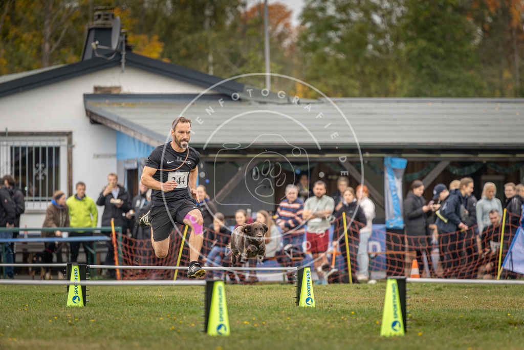 Pfotenfotografie_DV3A5078 | Hundefotografie, Tierfotograf, Pfotenfotografie, Fotoshooting Hund, Hunde Portrait, Hundesport, Hundeportraits, Heideshooting, Hunde, Sportfotograf, Hundefotograf, Turnierhundsport, THS,  - Realisiert mit Pictrs.com
