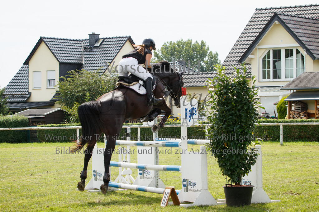 IMG_3230 | P. Berger Fotografie - Realisiert mit Pictrs.com