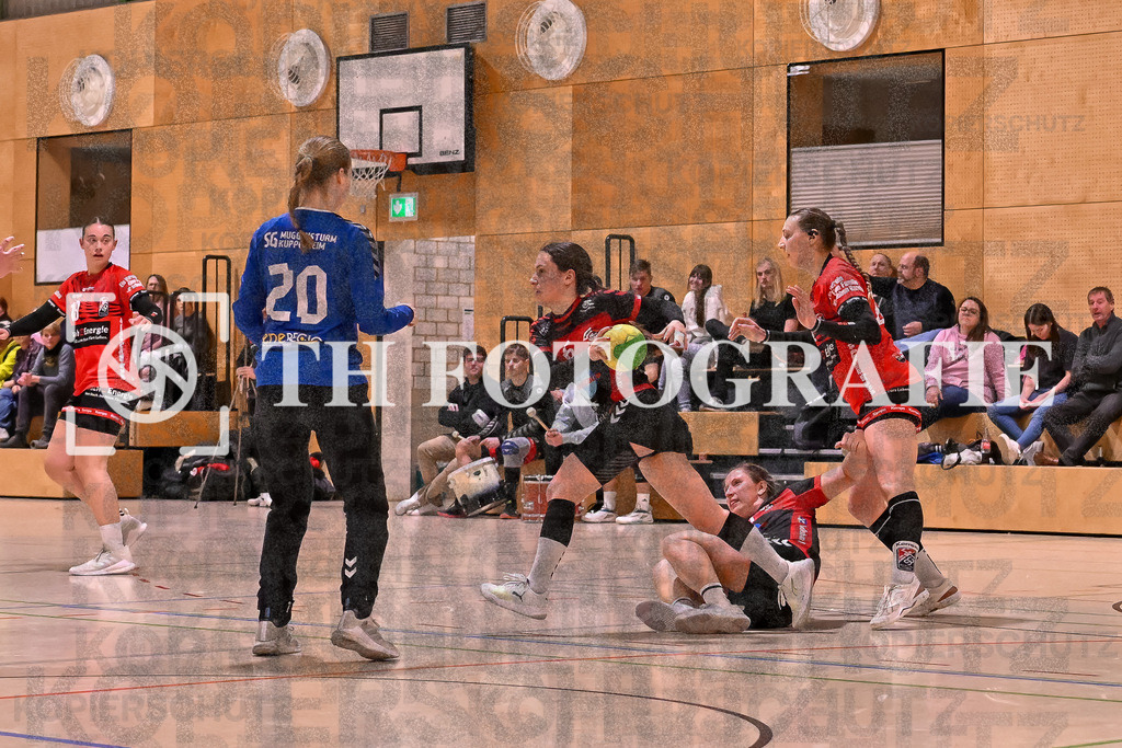 GER, SG Maulburg/Steinen - SG Muggensturm/Kuppenheim, Handball, Suedbadenliga, 17. Spieltag, Saison 2023/2024, 09.03.2024 | GER, SG Maulburg/Steinen - SG Muggensturm/Kuppenheim, Handball, Suedbadenliga, 17. Spieltag, Saison 2023/2024, 09.03.2024

Foto: TH Fotografie/Thomas Hess
