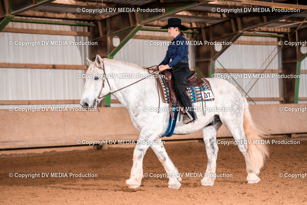 Balingen Tag 2-1571 | dv-media-shop - Realisiert mit Pictrs.com