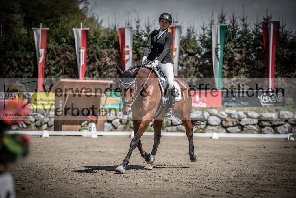 DSC_0538 | equestrian-live-com