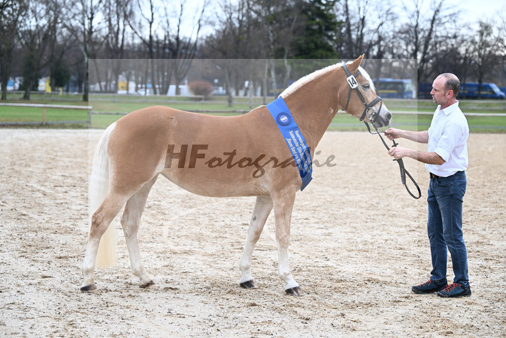 Bl. Band Kat-Nr. 14 Kleopatra v. Aquagon_Lang_48251624 | hf-fotografie - Realisiert mit Pictrs.com