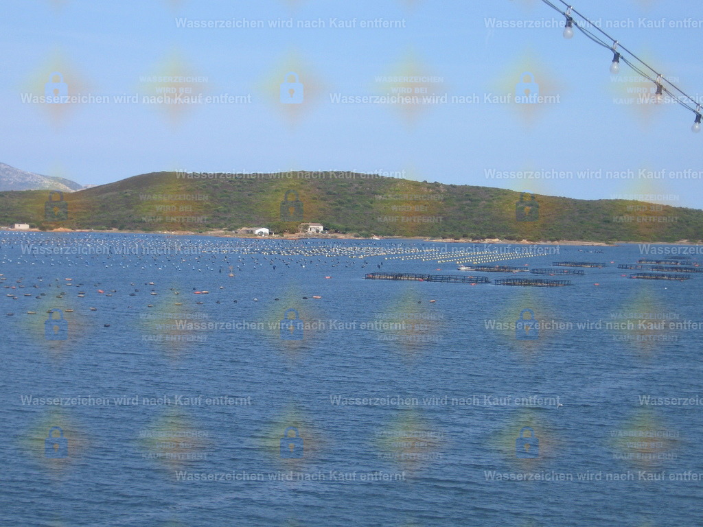 IMG_4189 | Fotoseite Wolkenblende - Das Hobby fotografieren begleitet mich schon  viele  Jahre. Auf den nächsten Seiten zeige ich ein paar Schnappschüsse der letzten Jahre und es kommen immer neue hinzu. Schau einfach mal rein. - Realisiert mit Pictrs.com