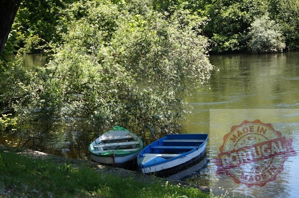 Two rowboats resting on tranquil riverbank in nature | Two old rowboats moored by the shore on a calm river with lush green trees - Realized with Pictrs.com