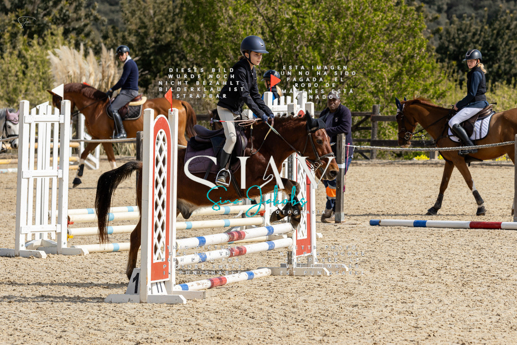 IMG_3093 | s-jay-photography - Realisiert mit Pictrs.com