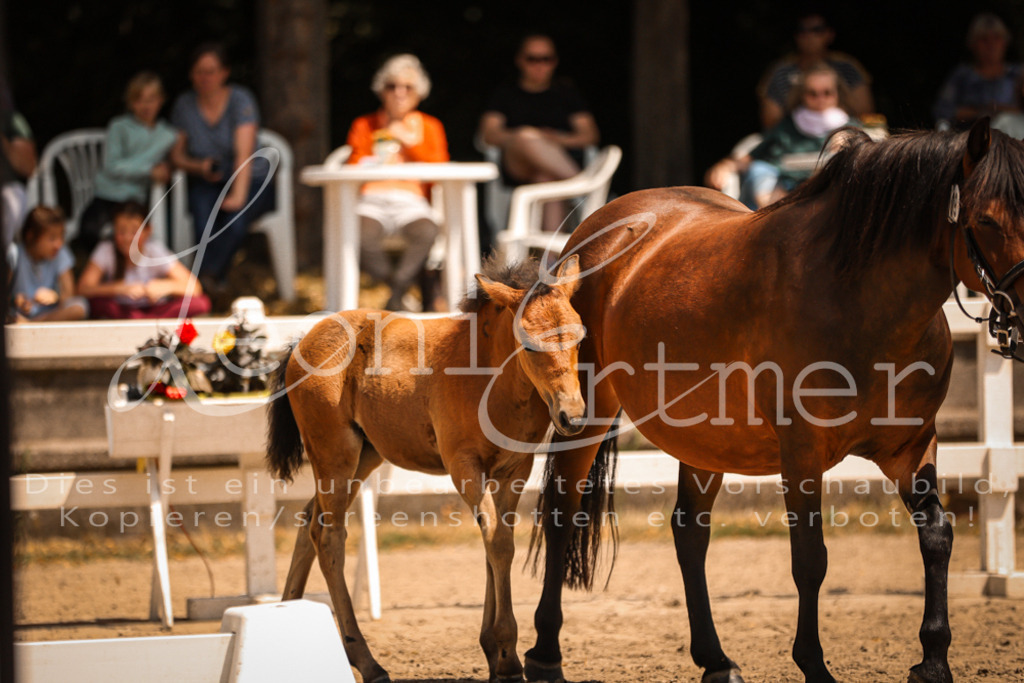 02.DoSR00052 | Leoni Ertmer Photography - Realisiert mit Pictrs.com