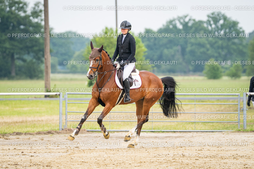 DSC09387 | Pferdegrafie