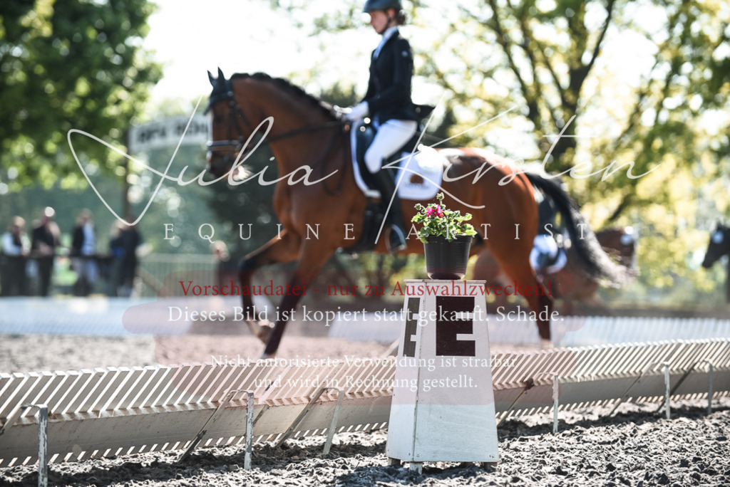 DSC_8685 | Pferde- und Turnierfotografie in Westsachsen. Pferdeportraits, Auftragszeichnungen und intuitive Kunst.