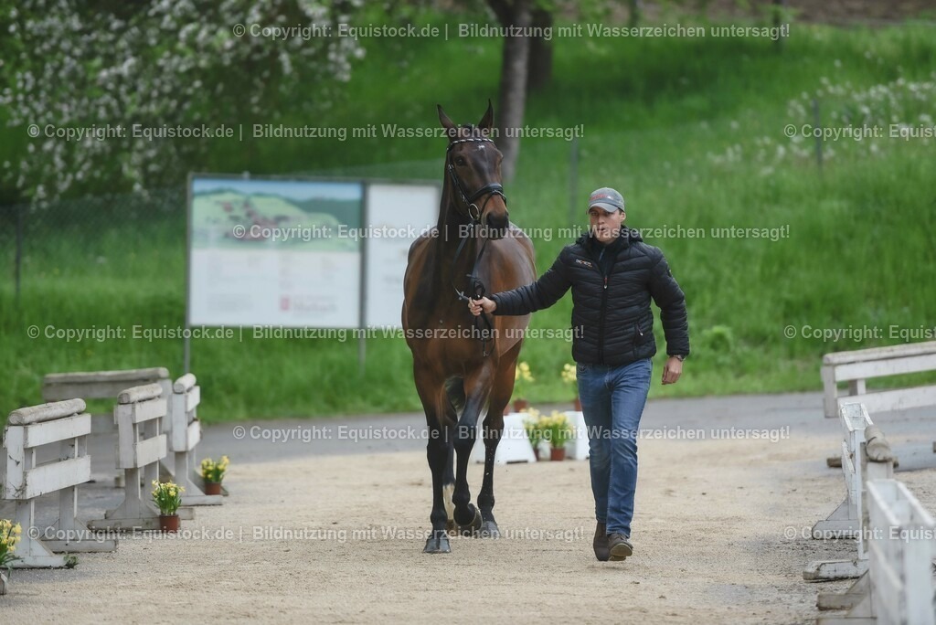 20230514_Impressionen_0075 | equistock