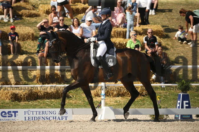 Birkhof_2022_GrandPrixSpecial_Anna Casper_Donna Clara 60 (3) | Alle Fotos der Reiterjournal Fotografin Doris Matthaes im Reiterjournal Online-Fotoshop. - Realisiert mit Pictrs.com