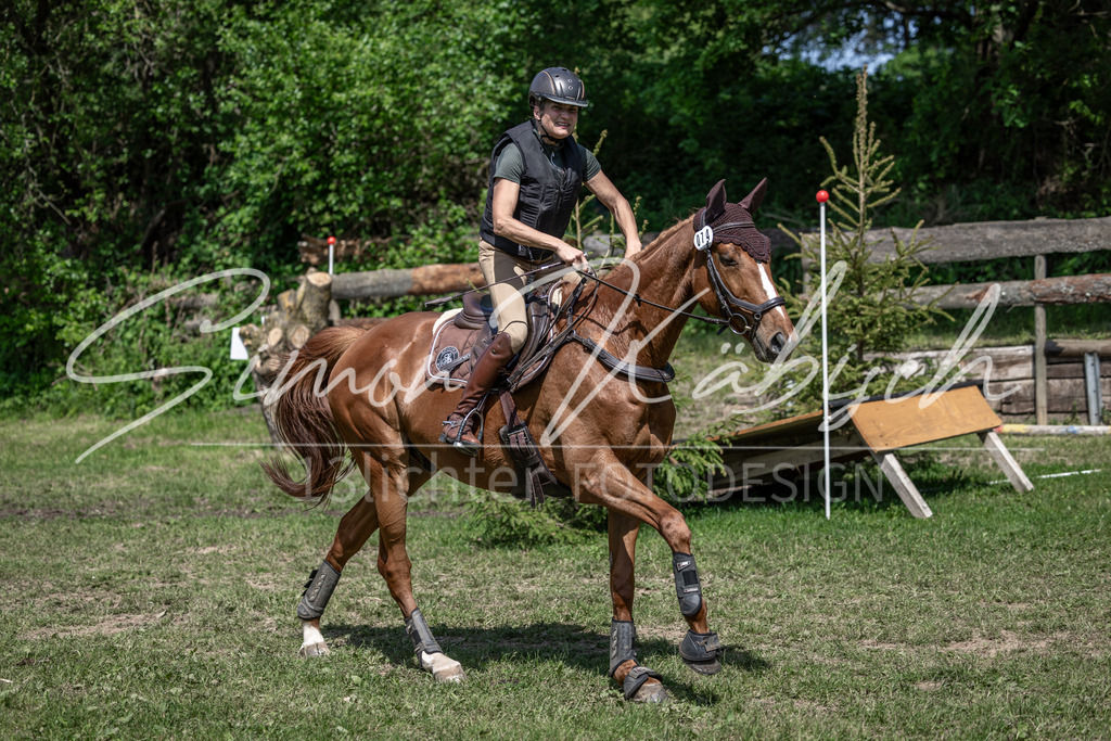 20260523-_3LI8999 | Tierfotografie Pferde, Hunde, Katzen, Haustiere.
Turnierfotografie Reitturniere, Reiten, Springreiten, Dressur in Hanau, dem Main-Kinzig-Kreis und dem Rhein-Main- Gebiet um Frankfurt